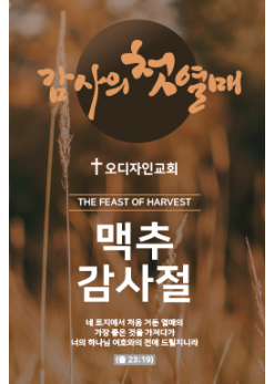 맥추절-29