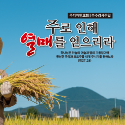 추수감사절-29